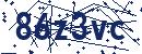 Güvenlik kodu