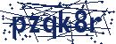 Güvenlik kodu