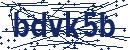 Güvenlik kodu