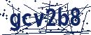 Güvenlik kodu