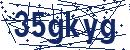 Güvenlik kodu