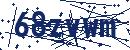 Güvenlik kodu
