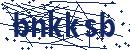 Güvenlik kodu