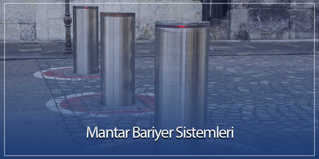 Mantar Bariyer Sistemleri Nedir?