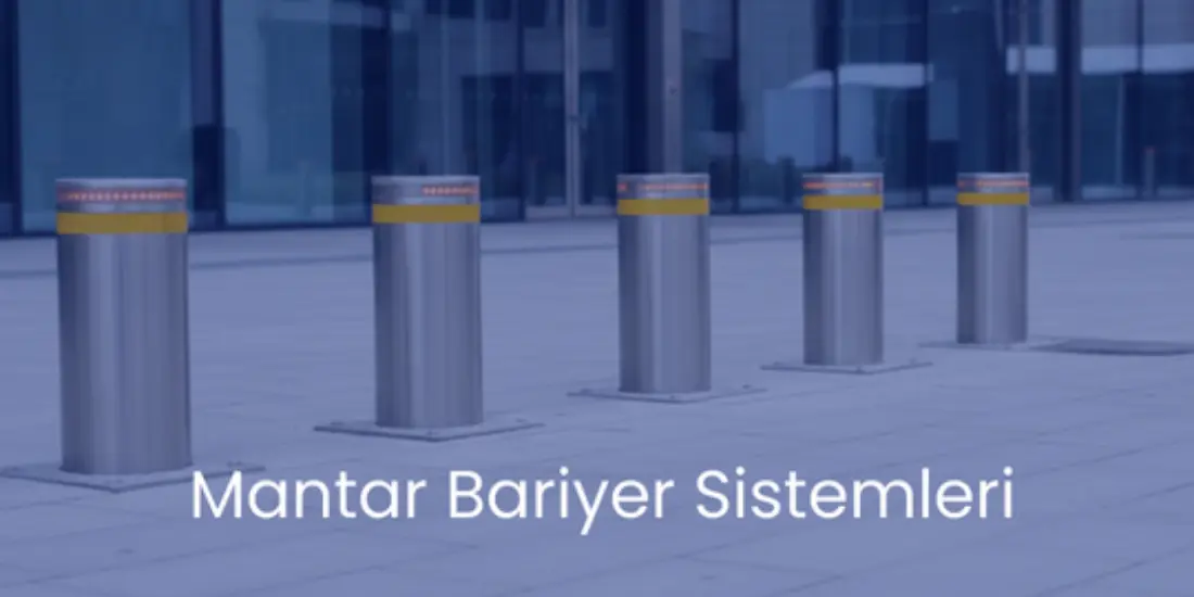 Mantar Bariyer Sistemleri: Güvenliği Artıran Çözüm