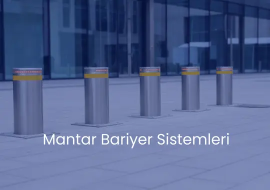 Mantar Bariyer Sistemleri: Güvenliği Artıran Çözüm