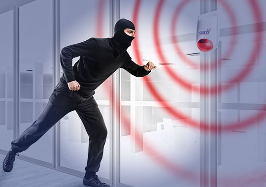 Tokat Hırsız Alarm Sistemleri