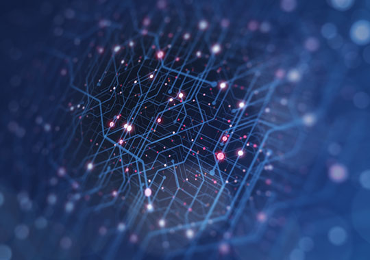 Denizli Network Sistemleri