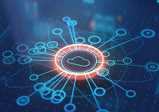 Muş Network Sistemleri