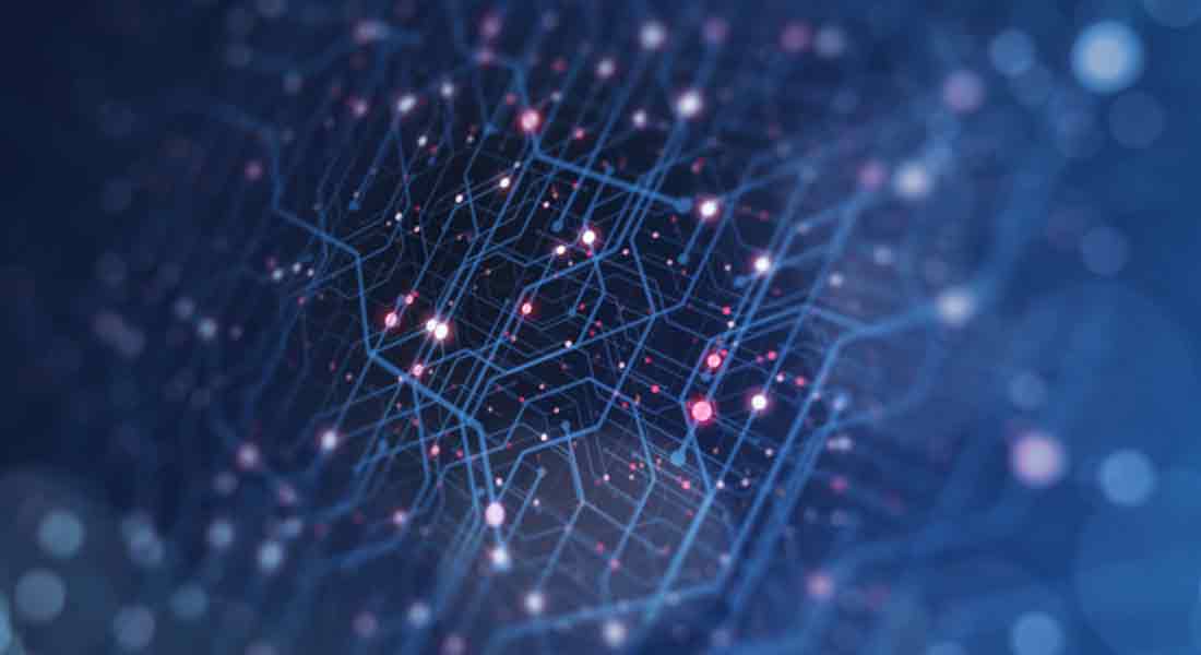 Denizli Network Sistemleri