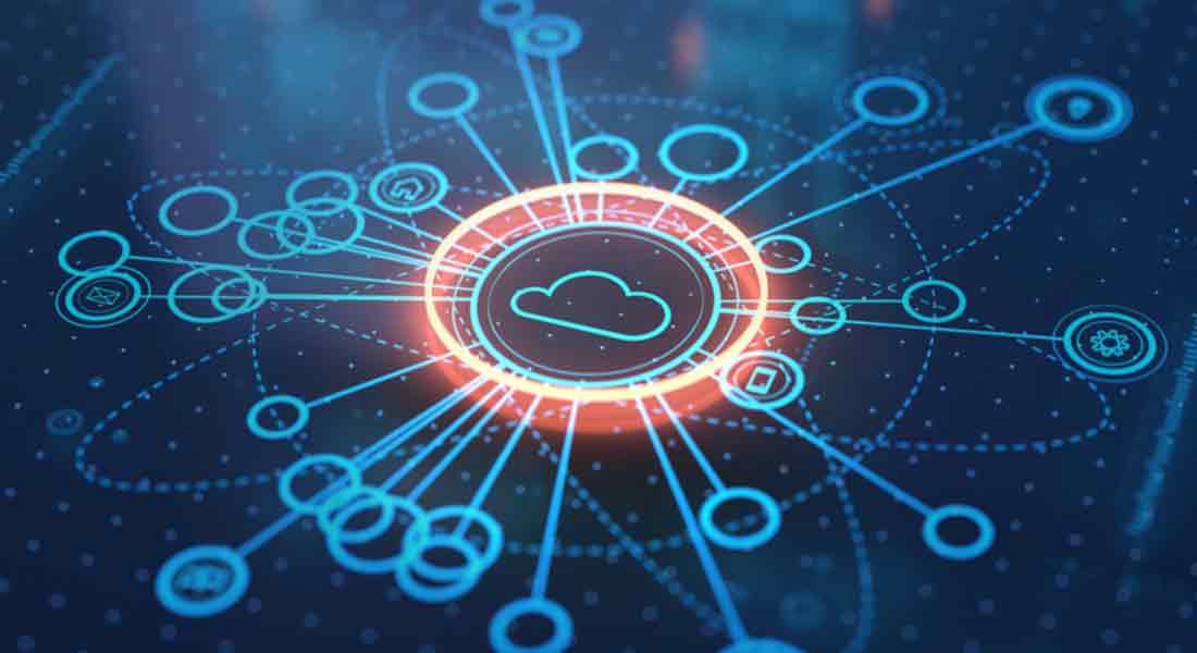 Muş Network Sistemleri